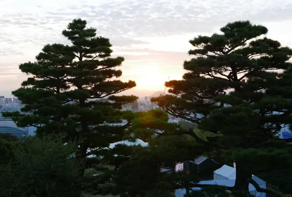 日の出が綺麗に見える