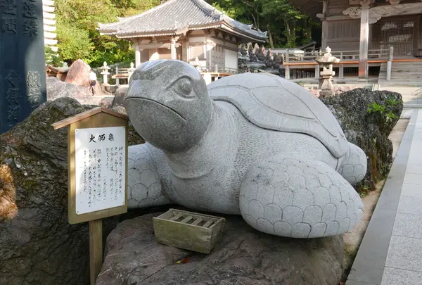 金剛福寺の写真・動画_image_46593