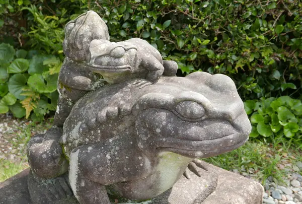 観自在寺の写真・動画_image_46599