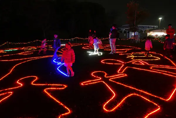 138タワーパークの写真・動画_image_52548