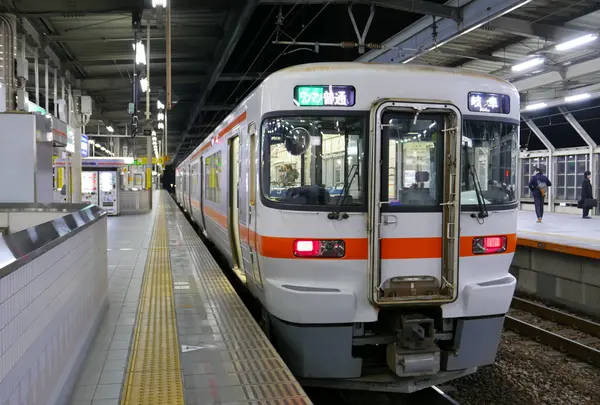 列車は313に似たキハ