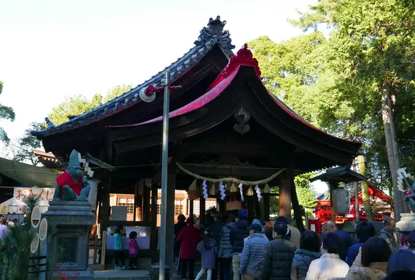 日吉神社の写真・動画_image_56920