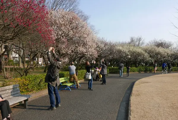 梅林公園の写真・動画_image_66267