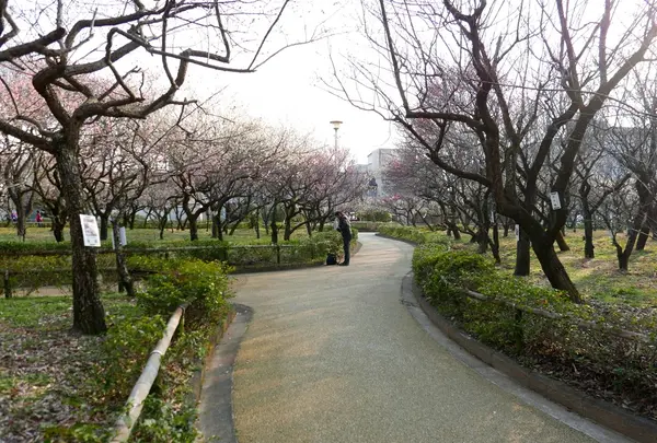 梅林公園の写真・動画_image_66272