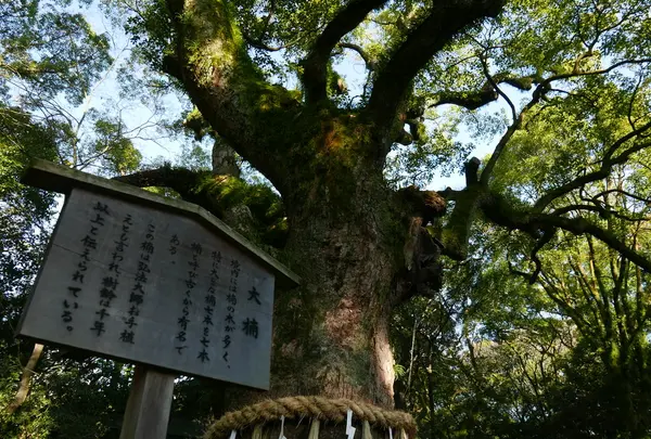 パワースポットらしいです