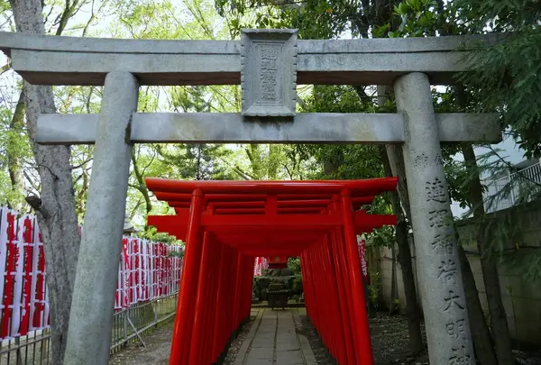 摂社、末社が多い