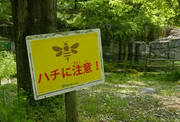 木曽川水園の写真・動画_image_75074