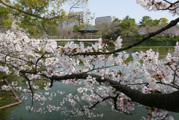 竜ヶ池の写真・動画_image_79958