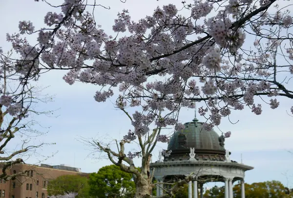 桜のシーズンには