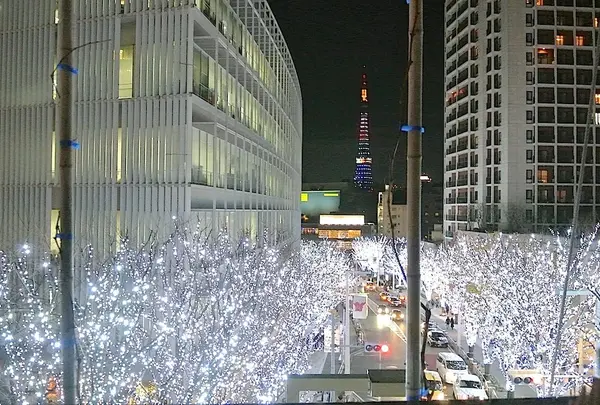 六本木ヒルズけやき坂通り
