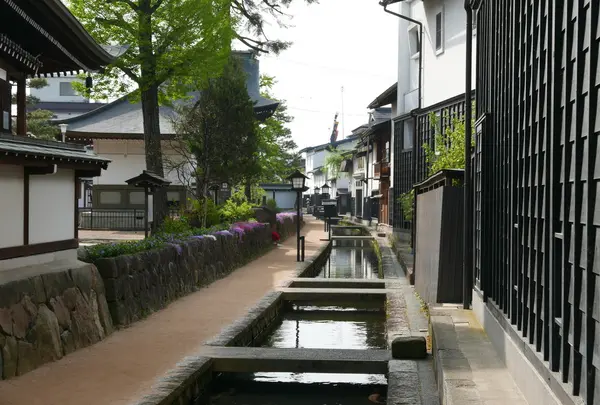 鯉が泳ぐ飛騨古川でぶらり散歩