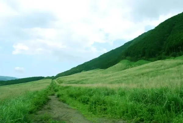 仙石原