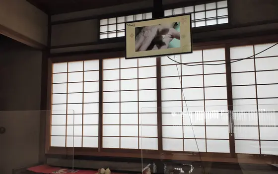 まずは動画で