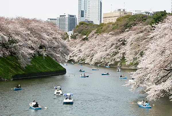 千鳥ヶ淵緑道