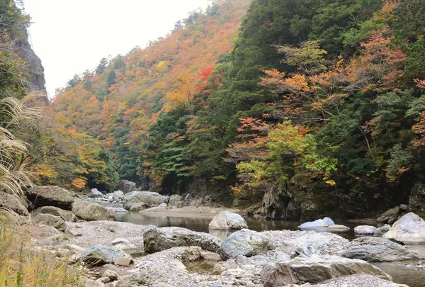 芦生ロードパーク・唐戸渓谷