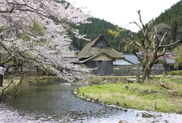 佐中の千年家