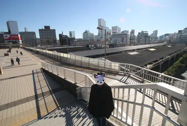 パンダ橋
