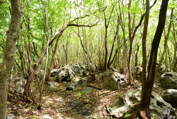平野台高原展望所の写真・動画_image_45339