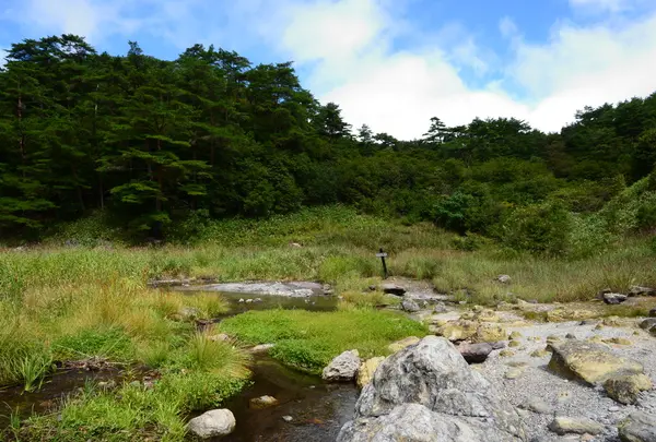 平野台高原展望所の写真・動画_image_45341