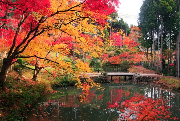 洞光寺