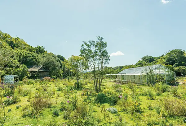 犬島くらしの植物園