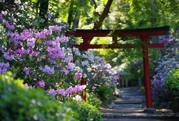 龍蓋寺（岡寺）奈良明日香村