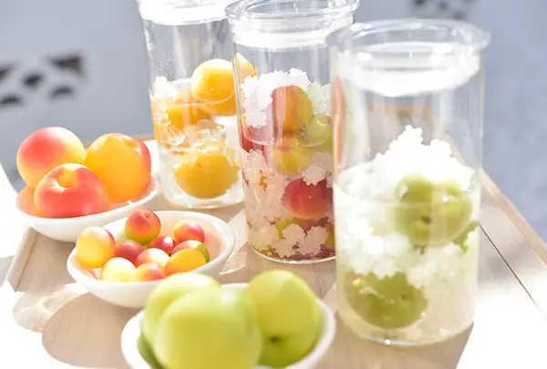 梅体験専門店 蝶屋 鎌倉店