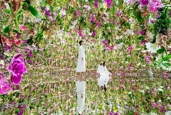 チームラボプラネッツ TOKYO (teamLab Planets TOKYO) DMM