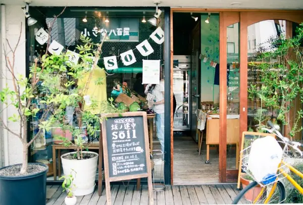 Soil