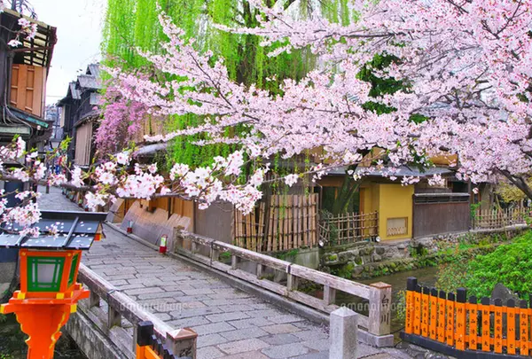 祇園 巽橋
