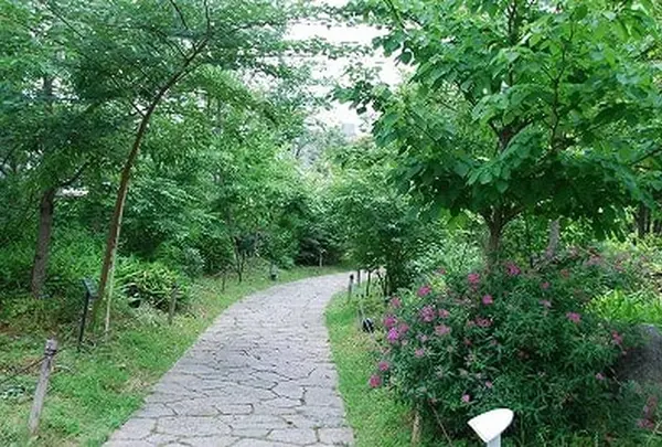 花野～新梅田シティの里山～