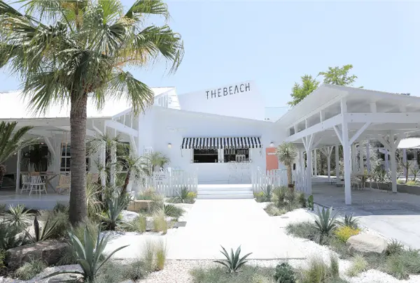 THE BEACH