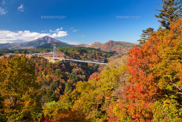 九重“夢”大吊橋