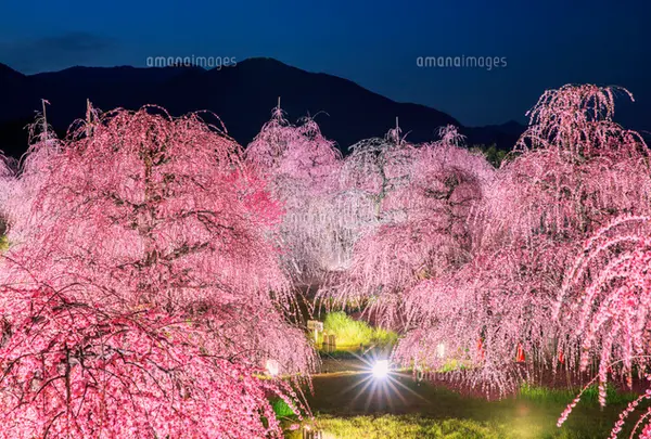 鈴鹿の森庭園