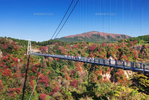 ✅九重“夢”大吊橋