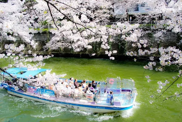 川下りクルーズ