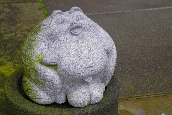 コロコロなタヌキ様