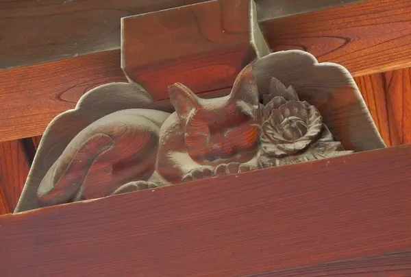 眠り猫を発見