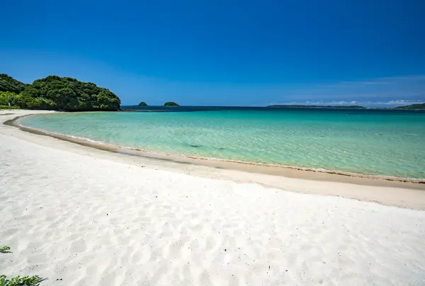 夏は海水浴も！
