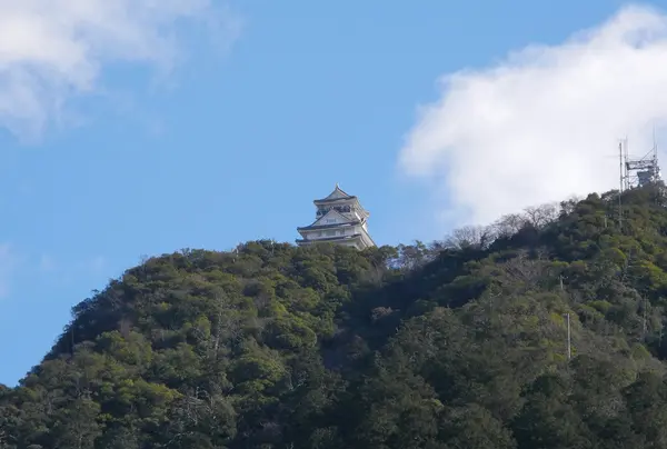 ターゲット発見！