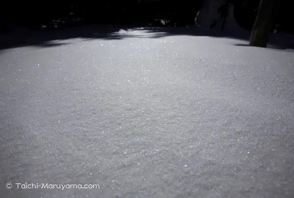 光り輝く新雪