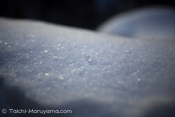 雪と氷の神秘
