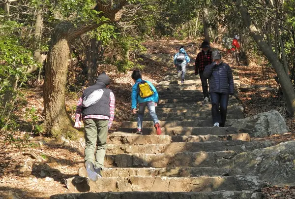 登山道もあります