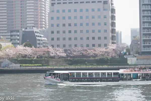 隅田川　遊覧船