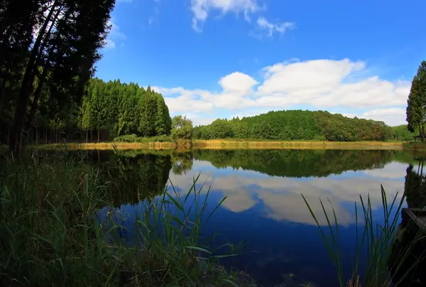 人知れずたたずむ神秘の空間