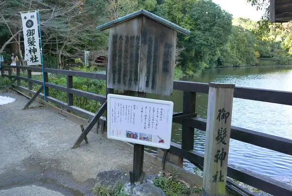この先もオススメらしい
