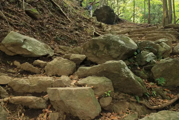 ただし登山は体力要！