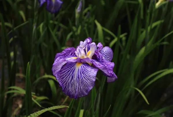 いかがでしたか？