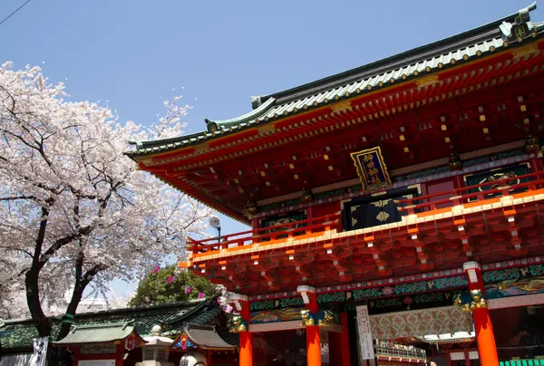春には見事な桜