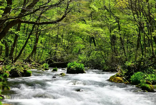 サクッと観光を楽しむなら車が便利